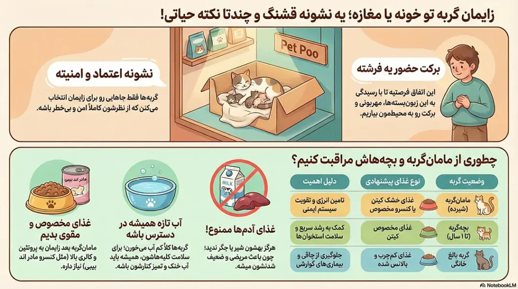 آیا غذای گربه خارجی بهتر است یا ایرانی؟ 2 petpoo infographic is foreign or iranian cat food better