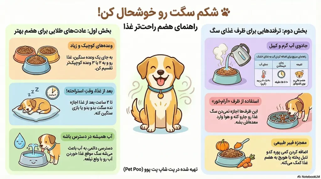 برای هضم غذای سگ چه کنیم؟ 1 اینفروگرافیک برای هضم غذای سگ چه کنیم