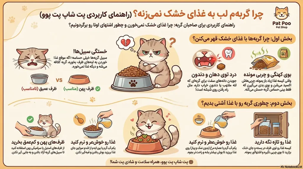 چرا بعضی گربه ها غذای خشک نمیخورند؟ بررسی عوامل و ارائه راه حل 3 petpoo infographic why cats refuse dry food