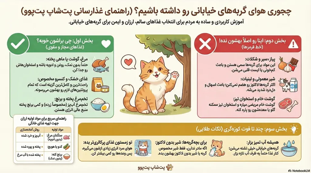 چه غذاهایی به گربه های خیابانی بدهیم؟ 2 petpoo podcast what foods should we give to street cats