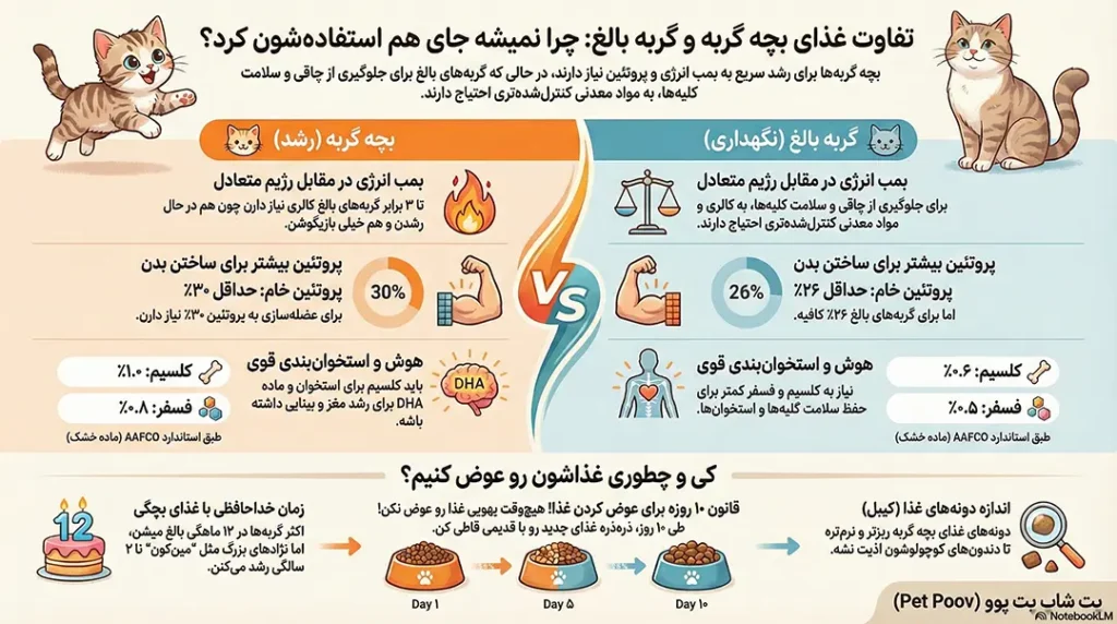 تفاوت غذای گربه بالغ و بچه گربه چیست؟ 2 petpoo infographic adult cat and kitten food difference