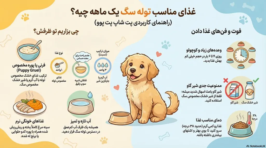 غذای مناسب برای توله سگ یک ماهه چیست؟ 3 petpoo infographic food for one month old puppy