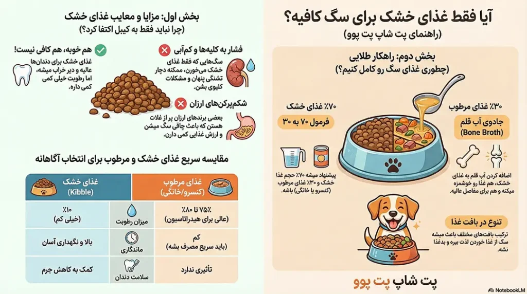 petpoo infographic is only dry dog food enough