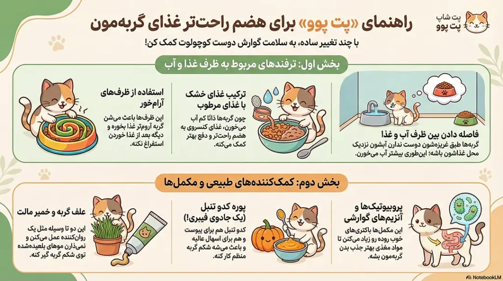 برای هضم غذای گربه چه کنیم؟ 2 petpoo infographic what to do to digest cat food